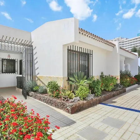 Flores Apartamento Costa Adeje (Tenerife)